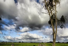 切尔西成功晋级备战半决赛，欧冠热议